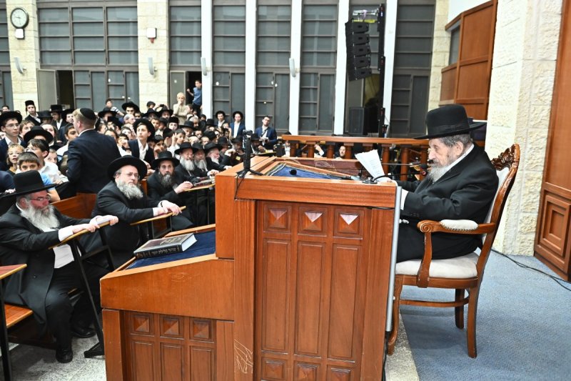 שוקי לרר