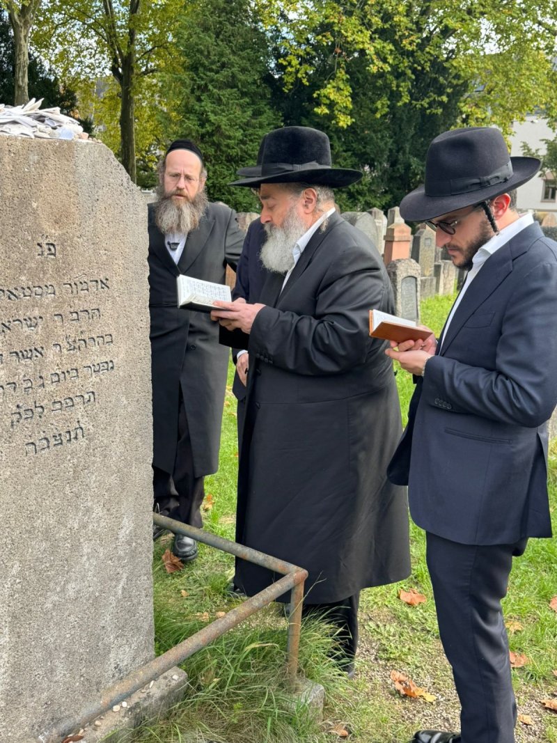 באדיבות המצלם