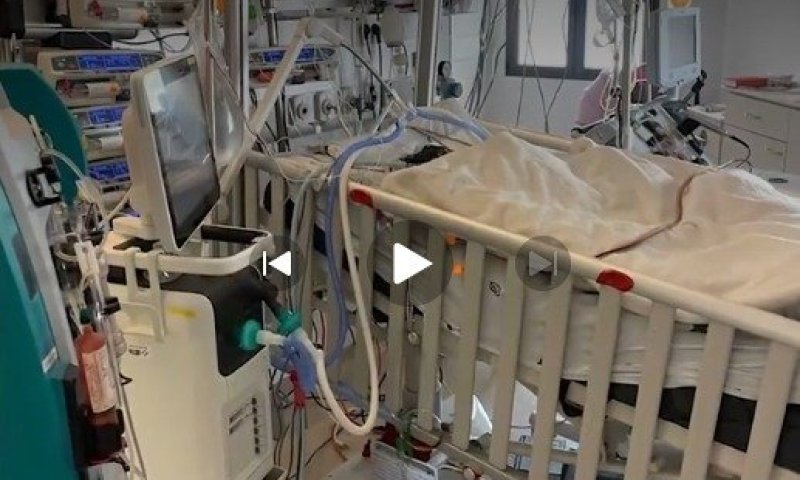 "תיפרדו ממנו, אין יותר מה לעשות": התינוק חזר לחיים בנס גלוי, אבל המשפחה שלו מתרסקת