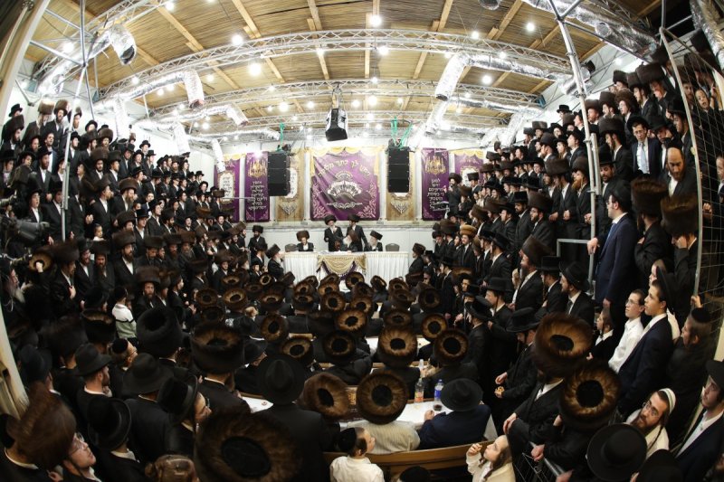 דוד ארזני וארי קופרשטוק