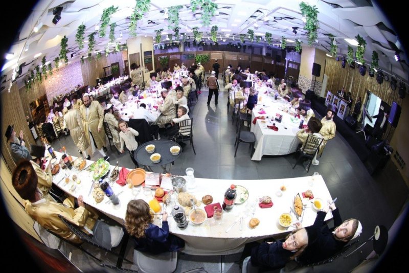 שלומי טריכטר