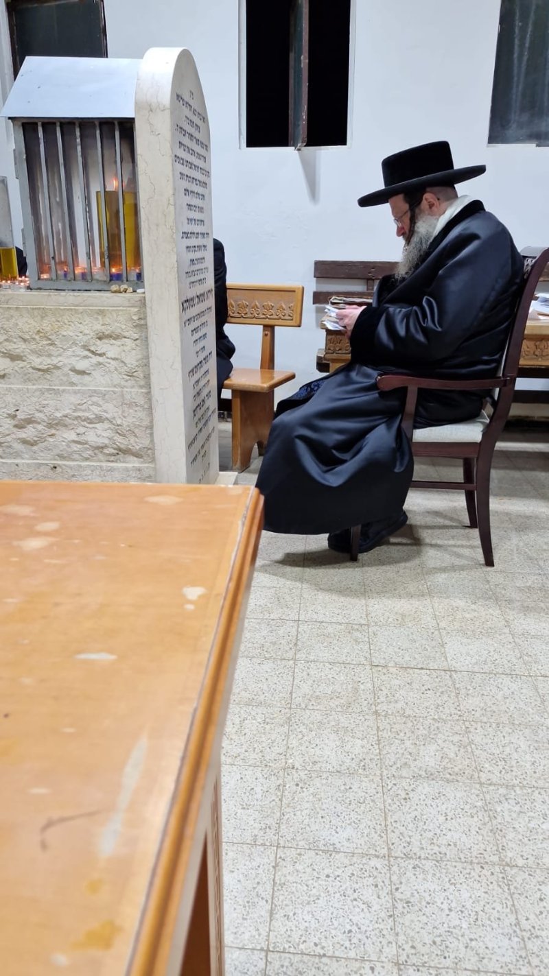 יהודה פרקוביץ