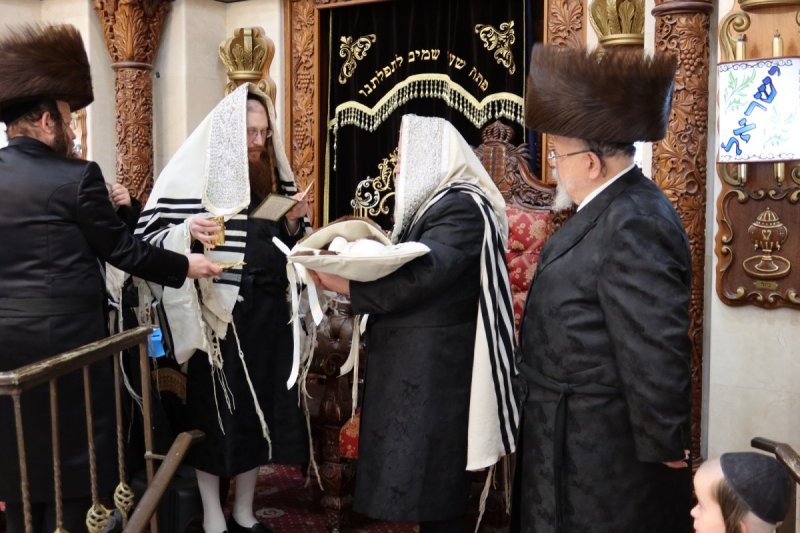 באדיבות המצלם