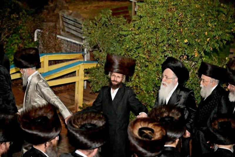 יהושע פרוכטר