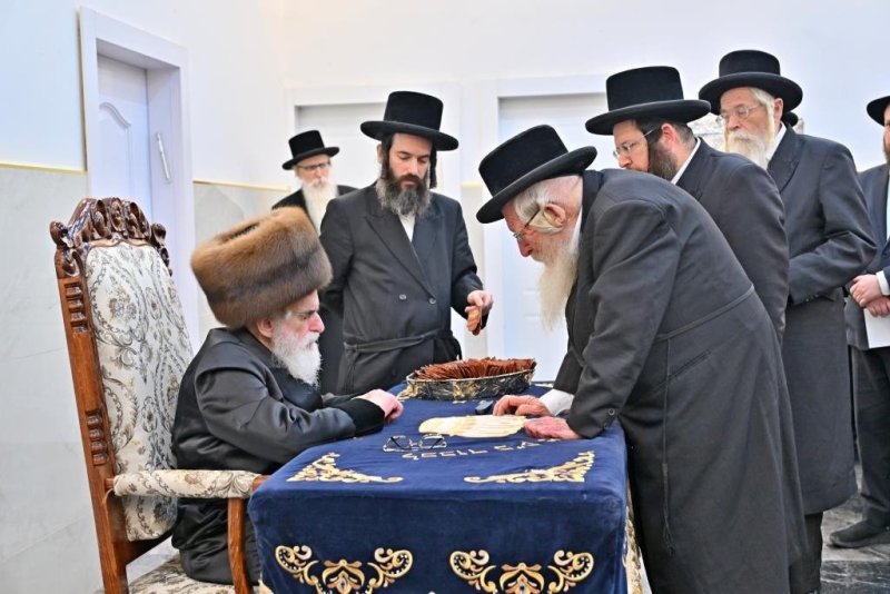 יהושע פרוכטר