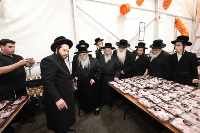 שלומי כהן
