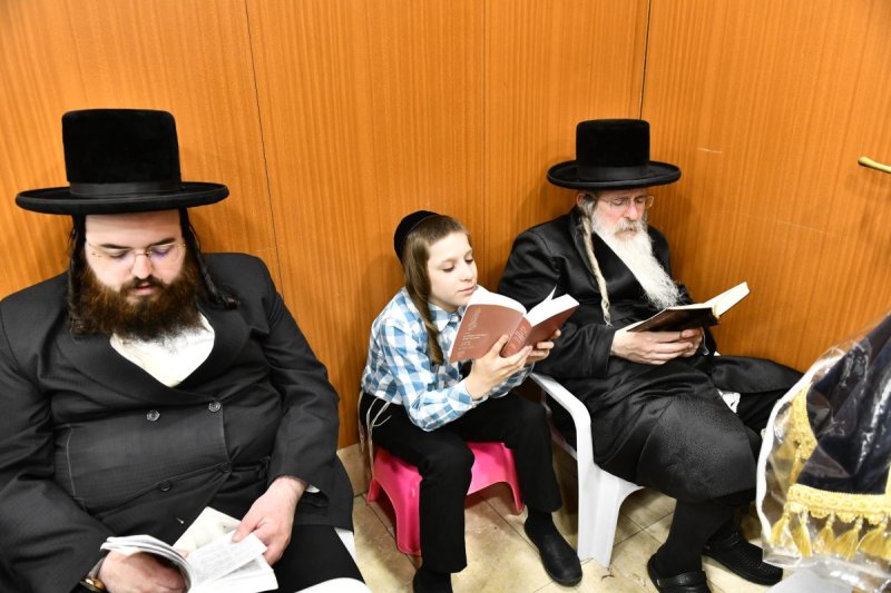 שוקי לרר