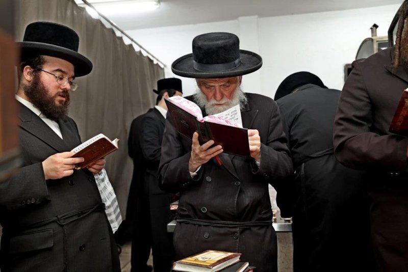 יהושע פרוכטר