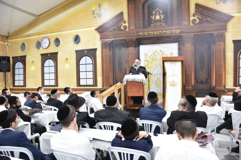 יהודה פרקוביץ