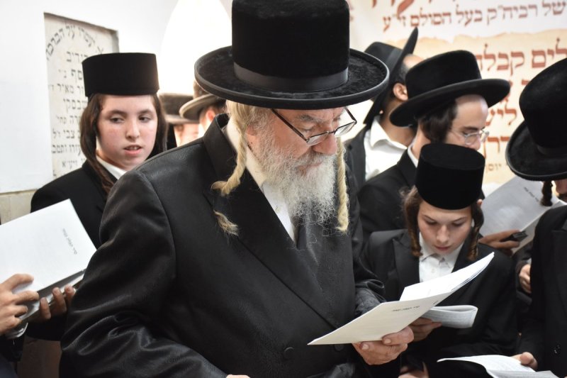 יהודה פרקוביץ