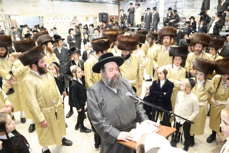 שלומי טריכטר