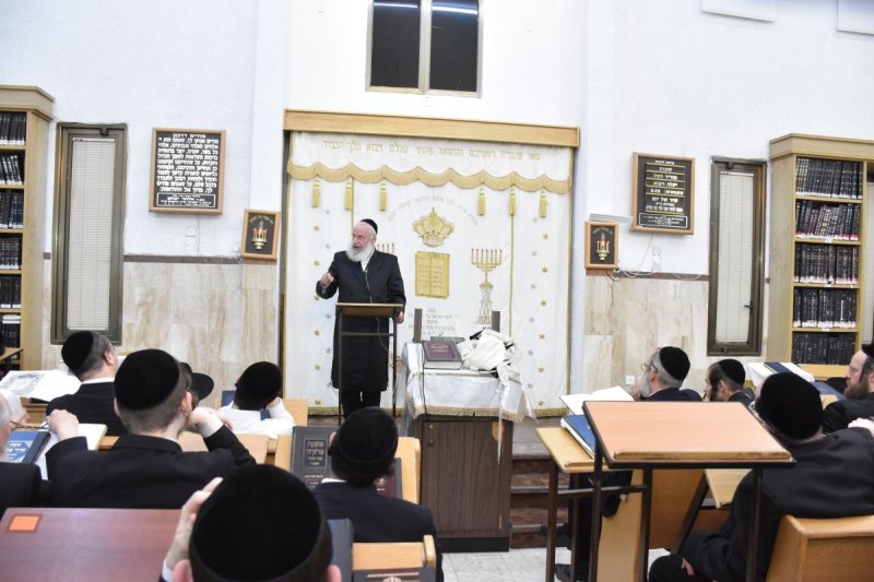 יהודה פרקוביץ