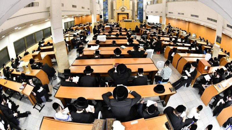 שוקי לרר