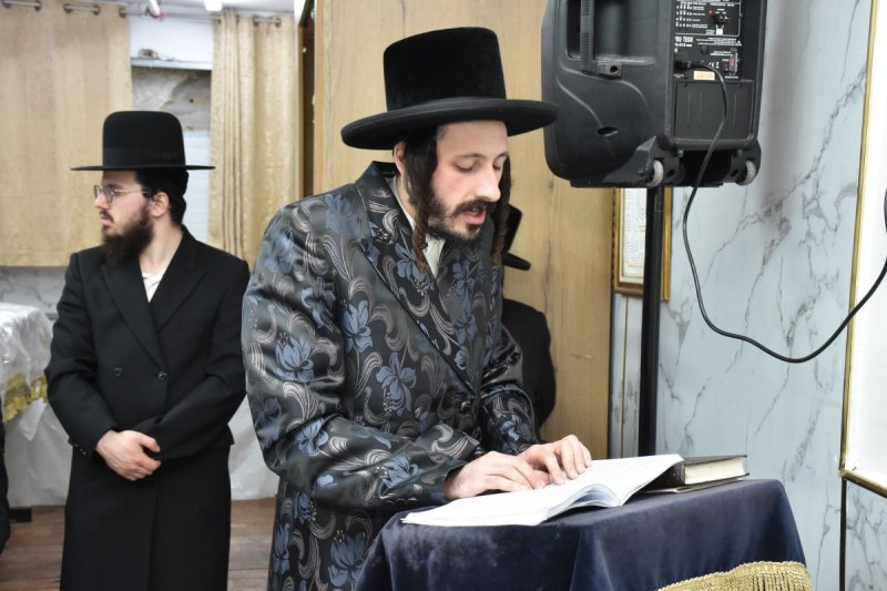 יהודה פרקוביץ