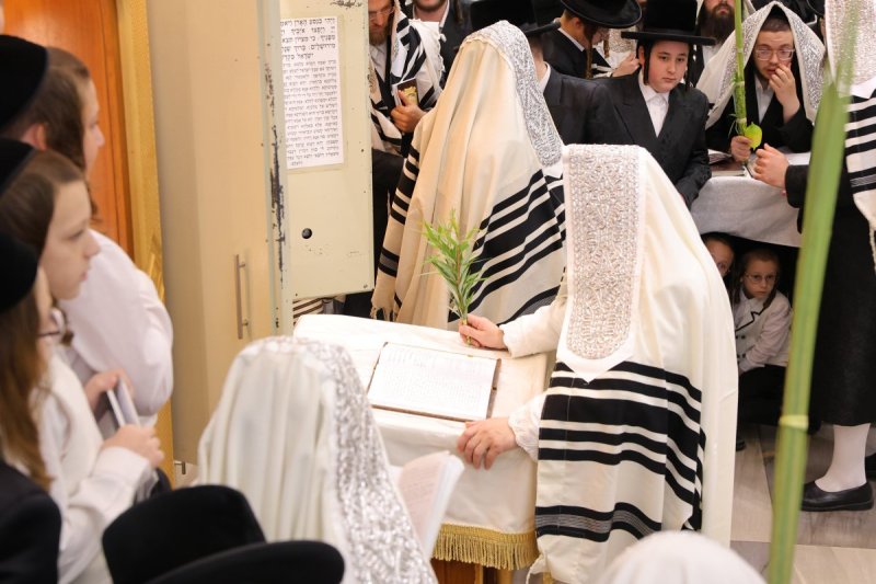 באדיבות המצלם