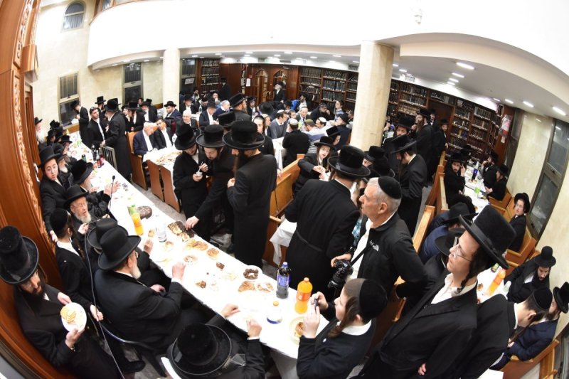 יהודה פרקוביץ