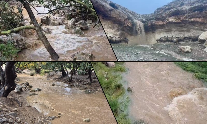  עוצמת הטבע במלוא תפארתה: זרימות מרהיבות ברחבי הארץ