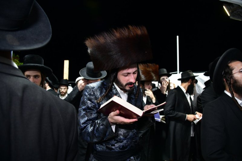 יוסי לוי
