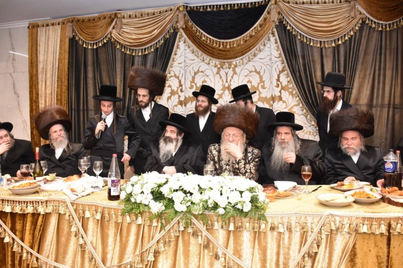 יהודה פרקוביץ