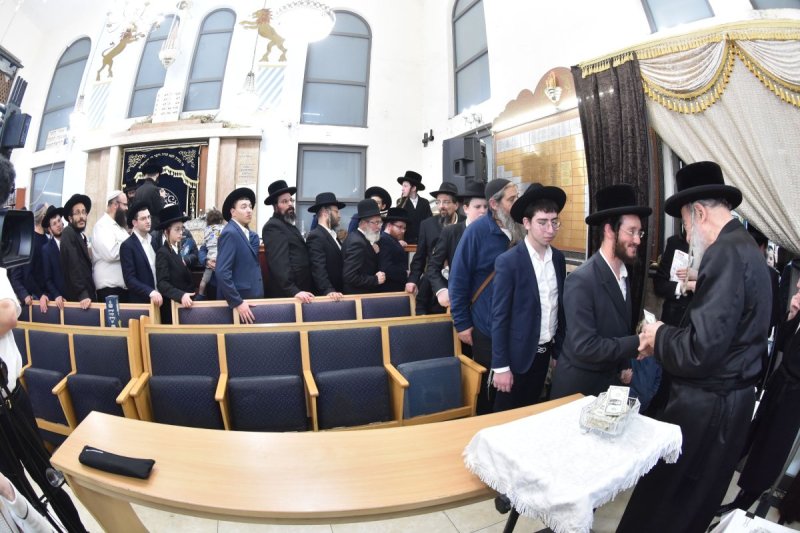 יהודה פרקוביץ