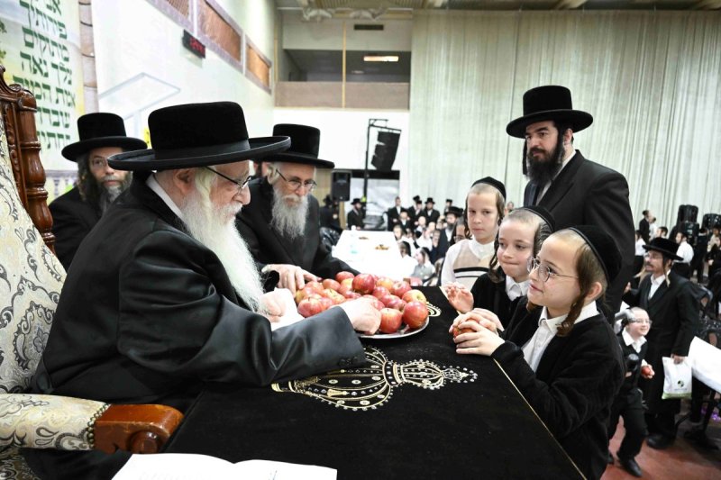 משה גולדשטיין