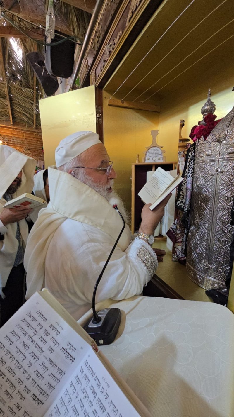 שלומי טריכטר ומ.פ