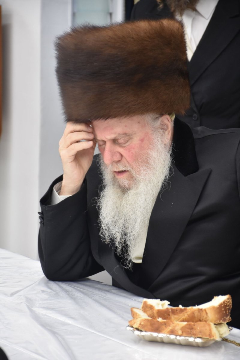 יהודה פרקוביץ