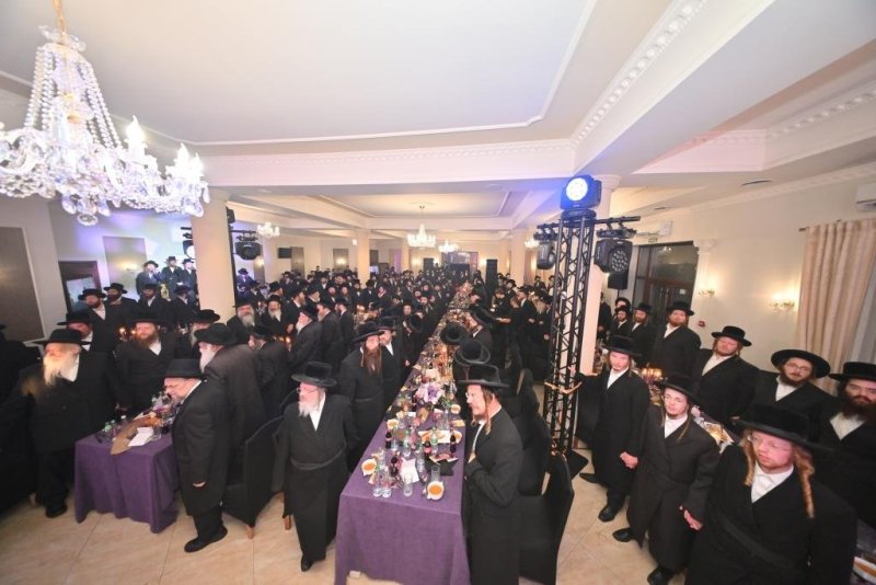 יהושע פרוכטר