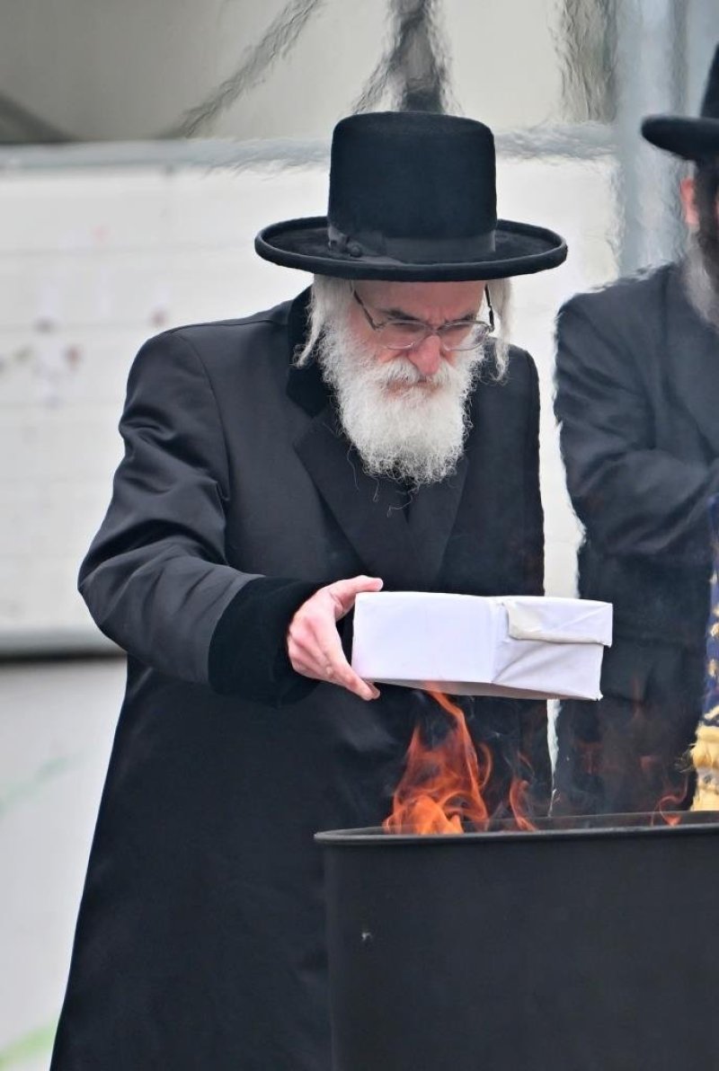 יהושע פרוכטר