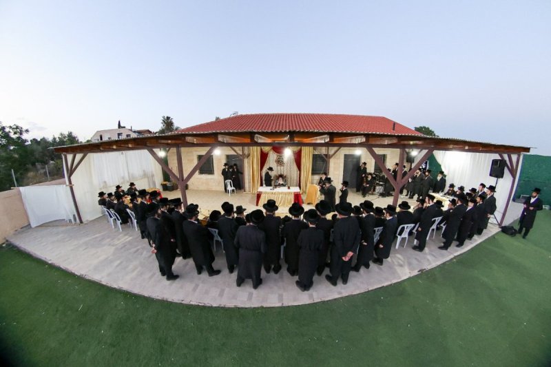 א. אייזנבאך
