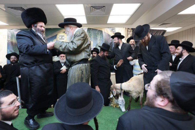 באדיבות המצלם
