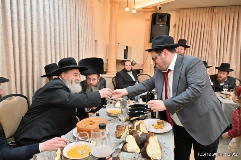 יהושע פרוכטר