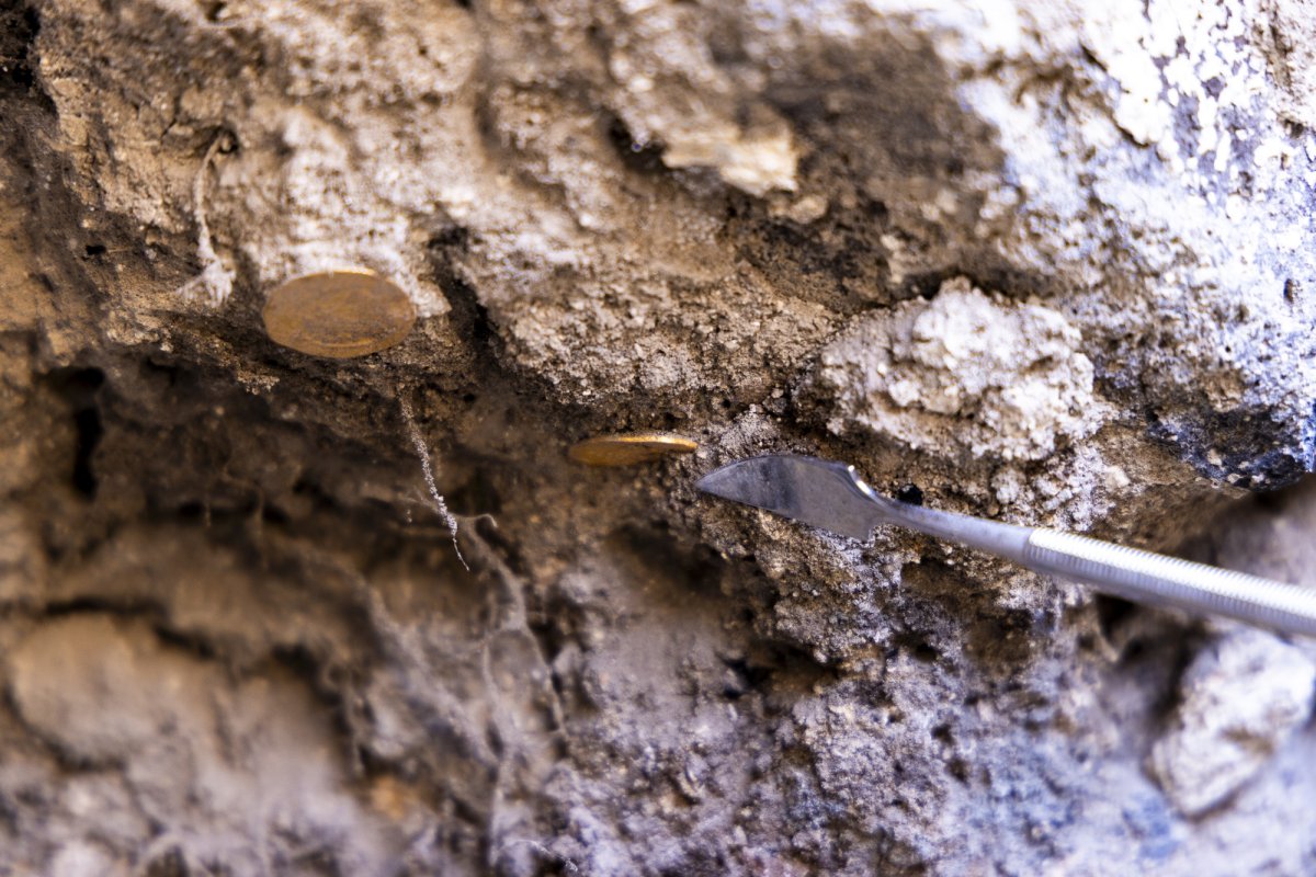 מיכאל איזנברג