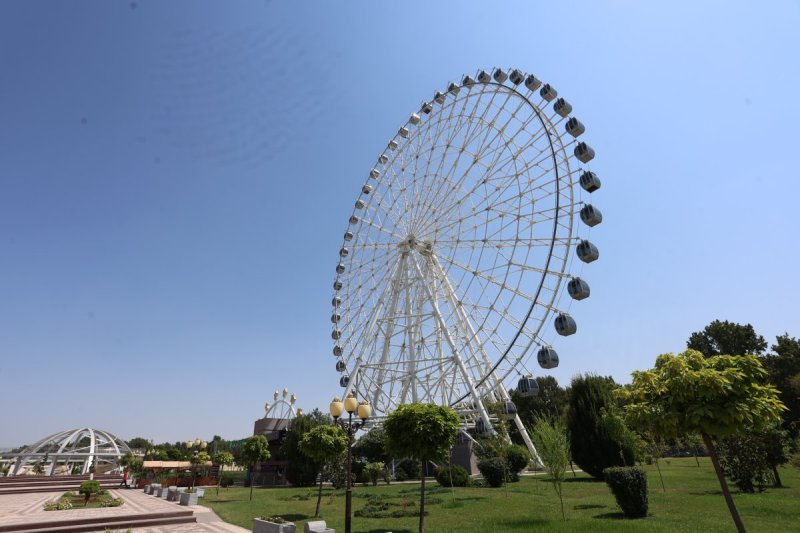 מרדכי לובעצקי