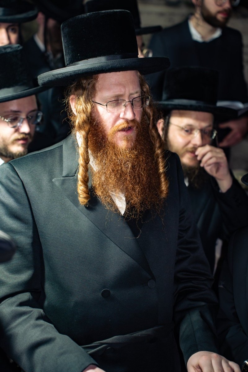 אלקנה קליין