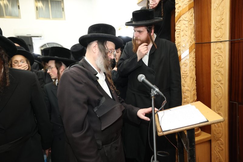 דוד ארזני וארי קופרשטוק