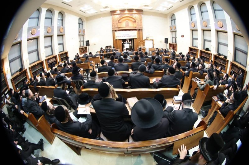 שלומי טריכטר