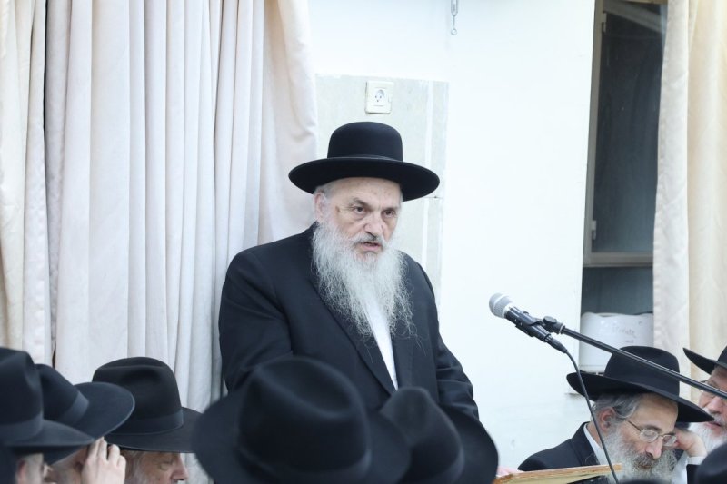 שלומי טריכטר