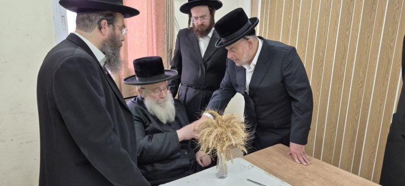 שוקי לרר
