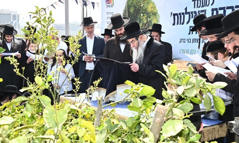 גדולי ישראל נהרו לברך את האילנות בפארק הענק החדש בצפון בני ברק
