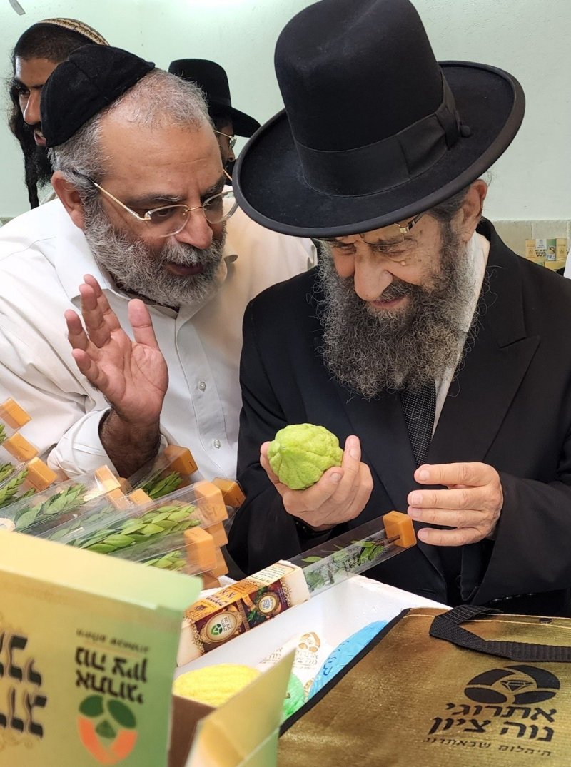 באדיבות המצלם