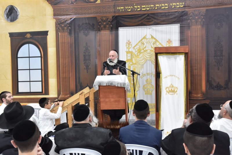 יהודה פרקוביץ