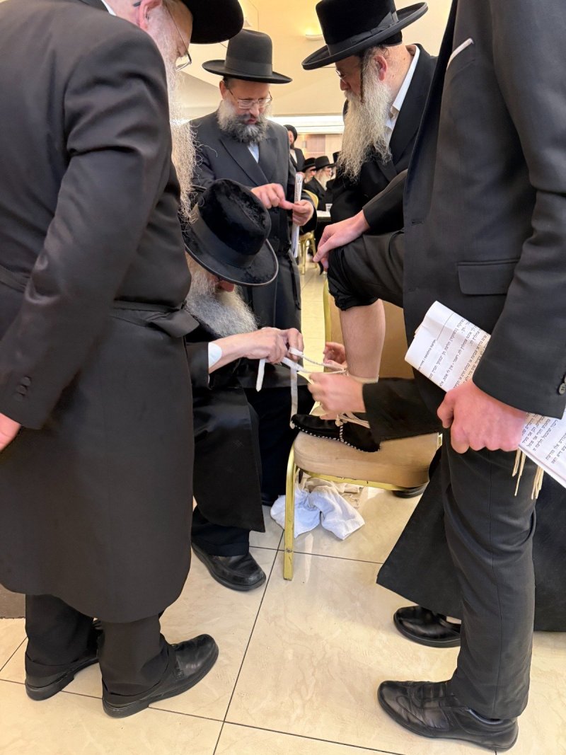 באדיבות המצלם