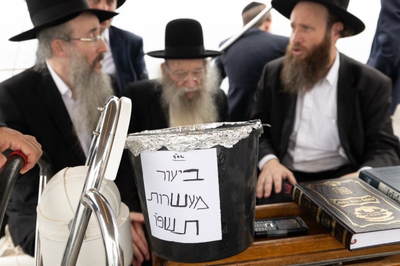 שמוליק קורלנסקי