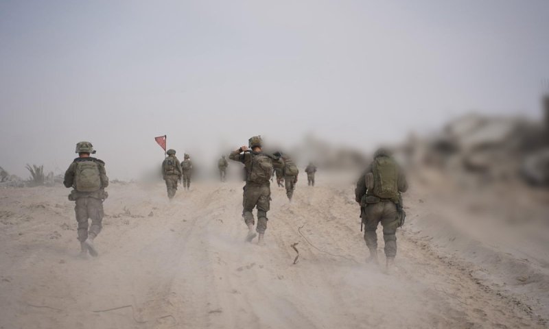 עכברושים ופלפל חריף: המאבק התברואתי של העקורים במאהלים בעזה