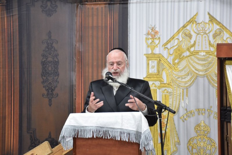 יהודה פרקוביץ