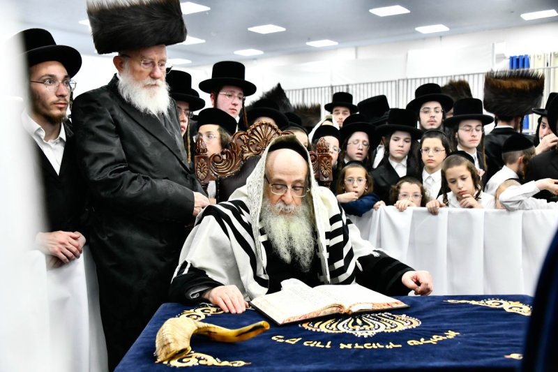 שוקי לרר