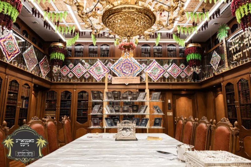 באדיבות המצלם