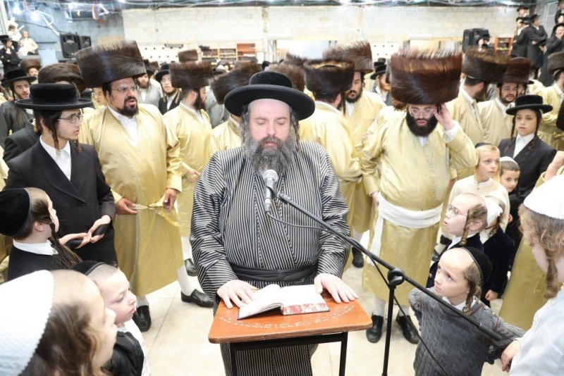 שלומי טריכטר