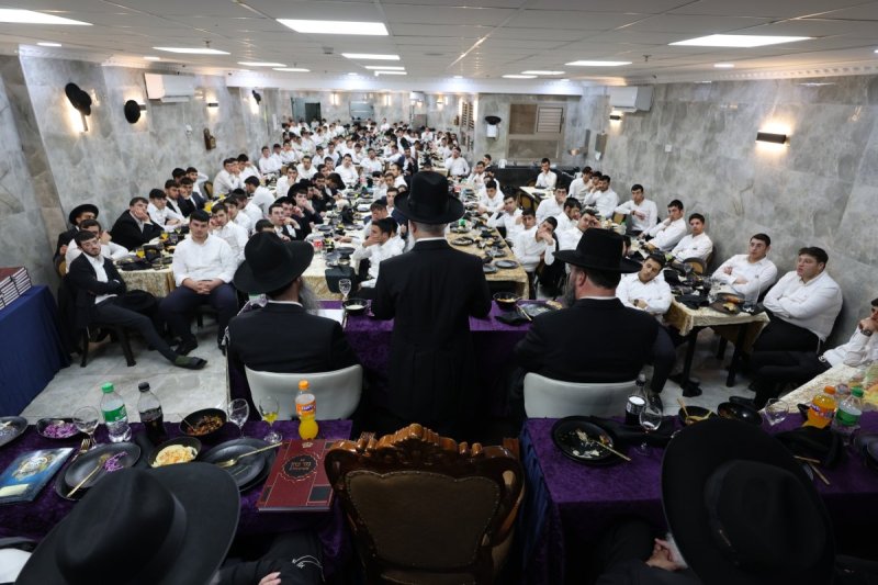 יעקב כהן ואלי קובין